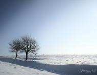 Бобрівники з panoramio.com