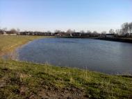 Товстоліс з panoramio.com