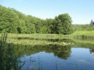 В'язове з panoramio.com