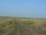 Солодководне з panoramio.com