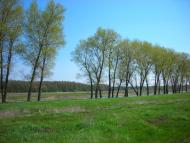 Думанці з panoramio.com