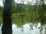 Моначинівка з panoramio.com