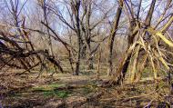 Малишівка з panoramio.com