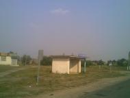 Печенюги з panoramio.com