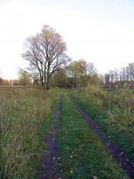 Введенка з panoramio.com