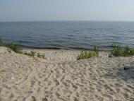 Боровиця з panoramio.com