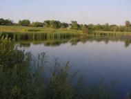 Дашуківка з panoramio.com