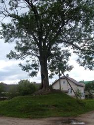 Дубляни з panoramio.com