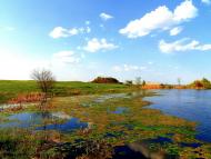 Shymshynivka - Latest photos