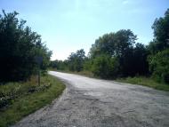 Orikhuvatka - Latest photos