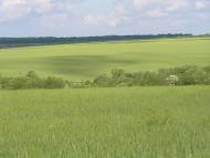 Добра Надія з panoramio.com