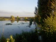 Вишневий Діл з panoramio.com