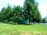 Вороне з panoramio.com