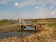 Добрятин з panoramio.com