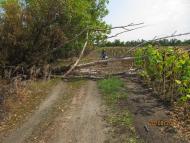 Хрящувате з panoramio.com