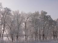 Войнівка з panoramio.com