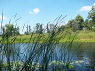 Варва з panoramio.com