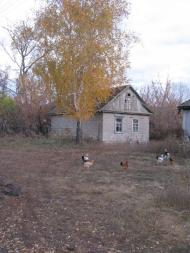 Бараниківка з panoramio.com