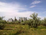 Сергіївка - Останні фото