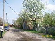 Вільна Тарасівка - Останні фото