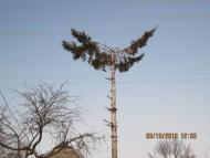 Малі Єрківці з panoramio.com