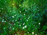 Кочережки з panoramio.com