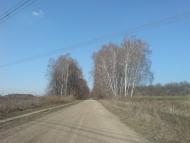 Нестерівці з panoramio.com