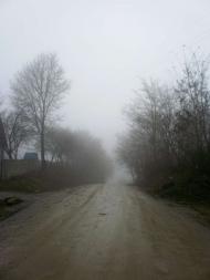 Петрашівка