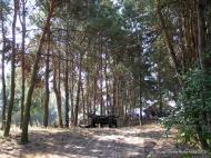 Вишнівка з panoramio.com