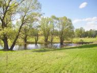 Вільховатка з panoramio.com