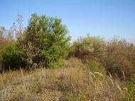 Кіровськ з panoramio.com