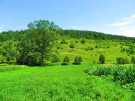 Подусільна з panoramio.com