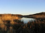 Булахівка з panoramio.com