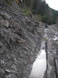 Нижній Яловець з panoramio.com