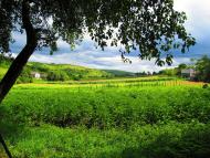 Подусільна з panoramio.com