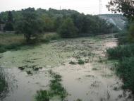 Біловодськ з panoramio.com