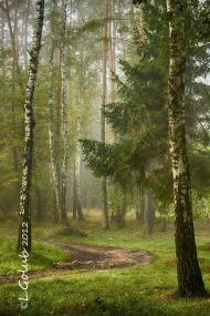 Смига з panoramio.com