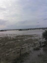 Дорогів з panoramio.com