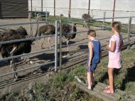 Грузьке з panoramio.com