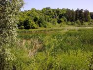 Баламутівка з panoramio.com