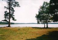 Ниговищі з panoramio.com - Ниговищи