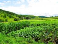 Подусільна з panoramio.com