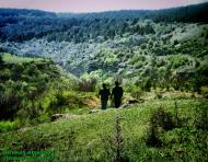 Некрасовка з panoramio.com