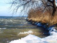 Сухолужжя з panoramio.com