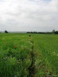 П'ятидні з panoramio.com