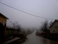 Петрашівка