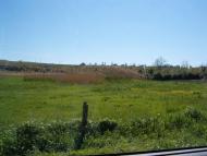 Покровка з panoramio.com