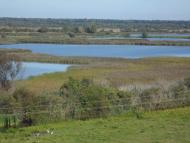 Більче з panoramio.com