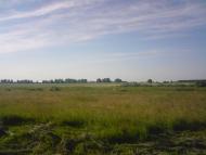 Деревини з panoramio.com