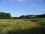 Булахівка з panoramio.com